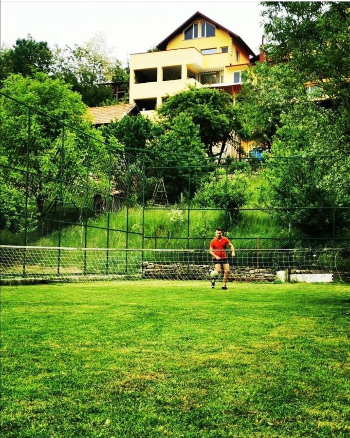 Doftana Apartaments Teşila 外观 照片