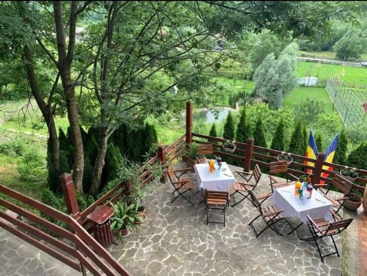Doftana Apartaments Teşila 外观 照片