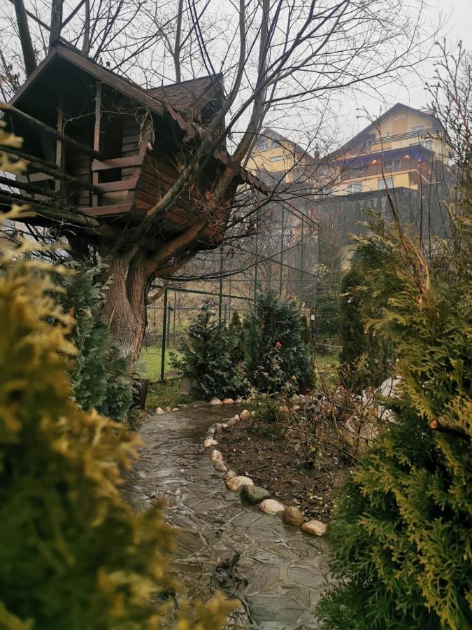 Doftana Apartaments Teşila 外观 照片