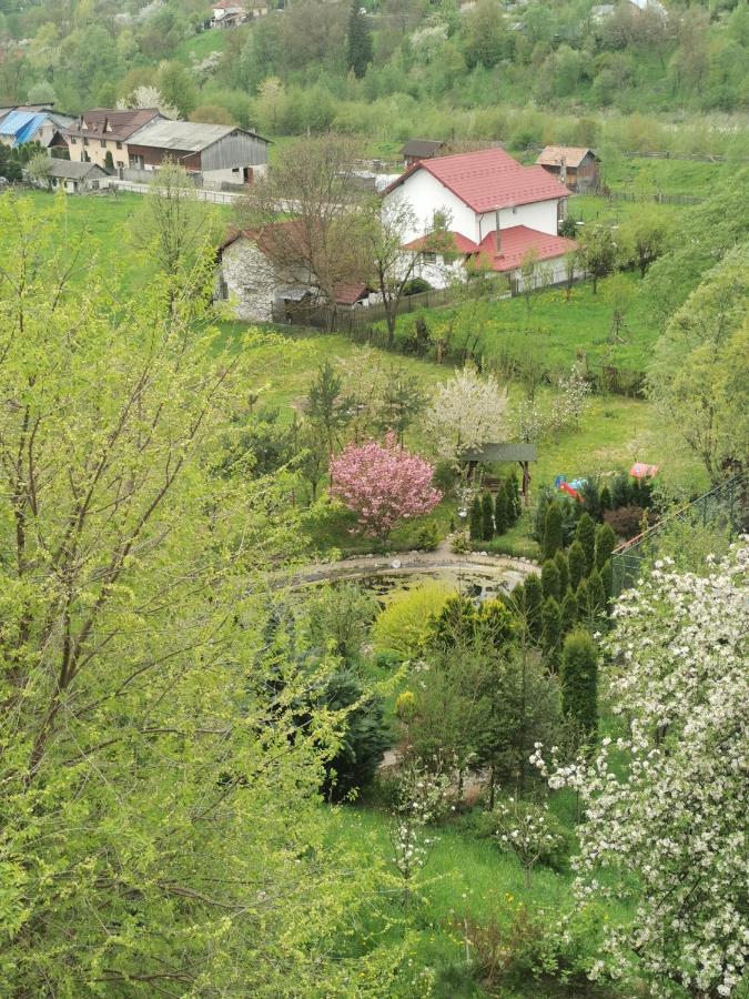Doftana Apartaments Teşila 外观 照片