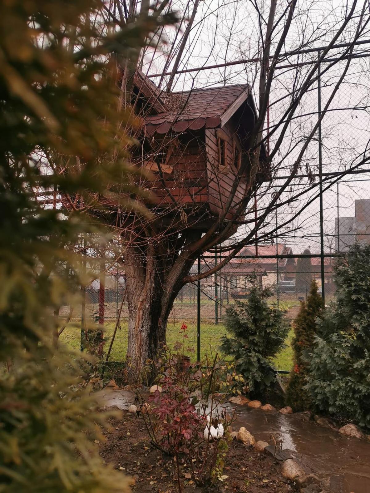 Doftana Apartaments Teşila 客房 照片