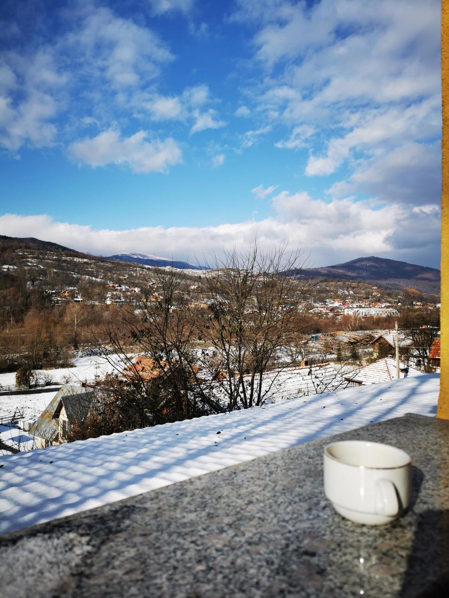 Doftana Apartaments Teşila 客房 照片